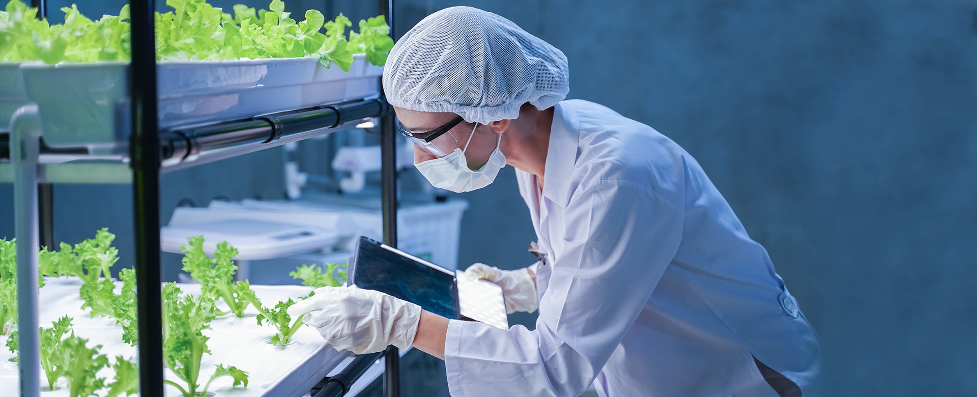 Biotech & Sustainability – Singapore Discovery Tour