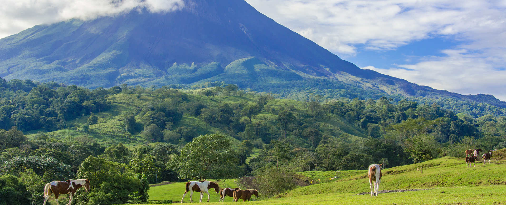 Nature & Wildlife Escapes