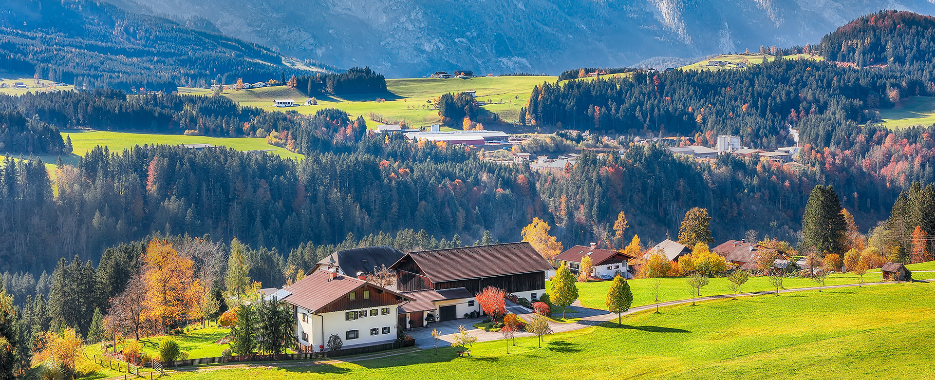 Wellness & Nature Retreats