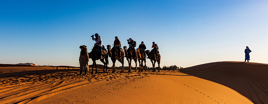 Chronicles of Culture