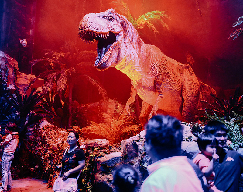 Fun & Theme Park Escapes
