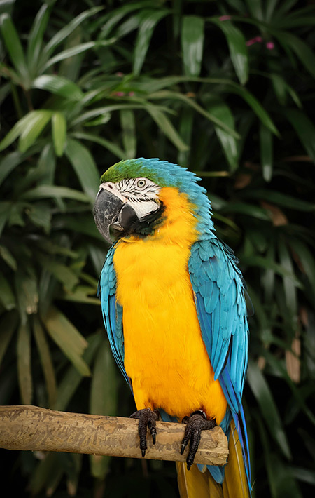 Nature & Wildlife Escapes