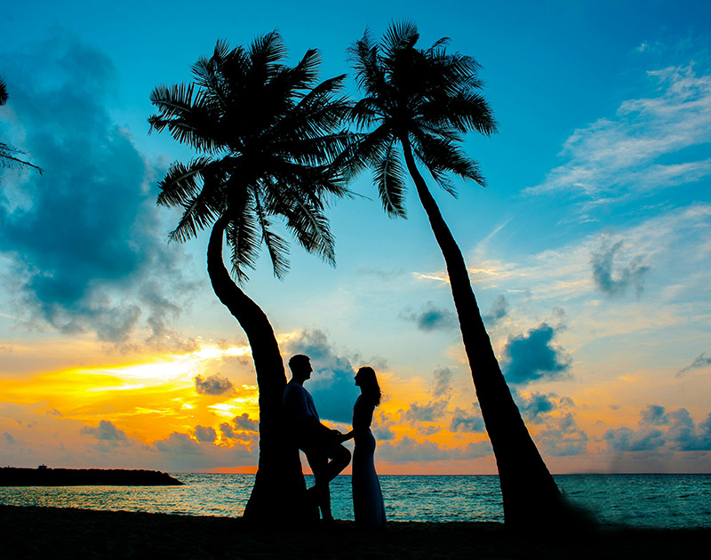 Tropical Temptations