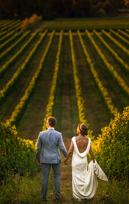 Tuscan Whispers – Italy’s Romantic Vineyard Vows