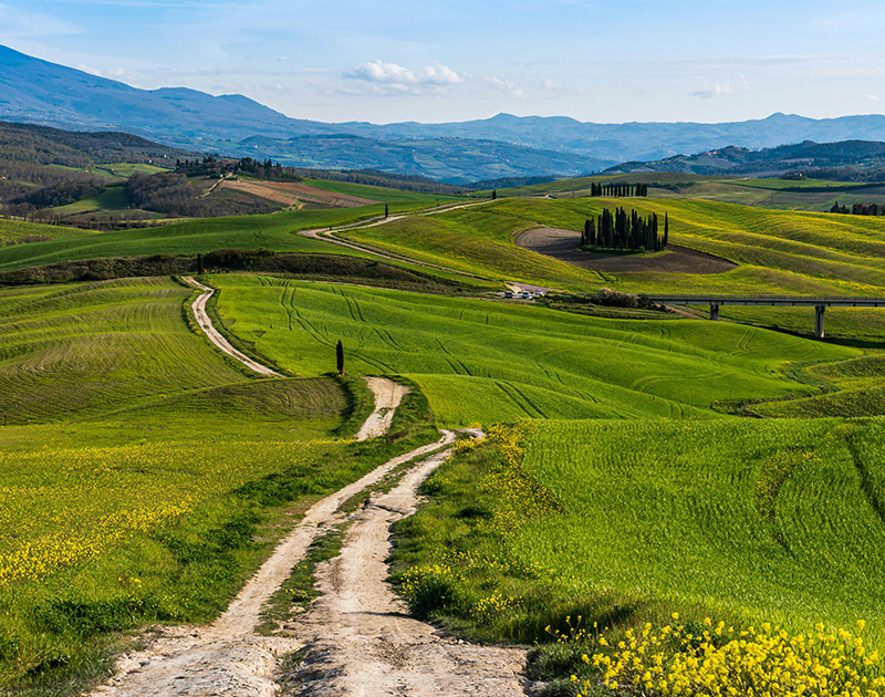 Italy