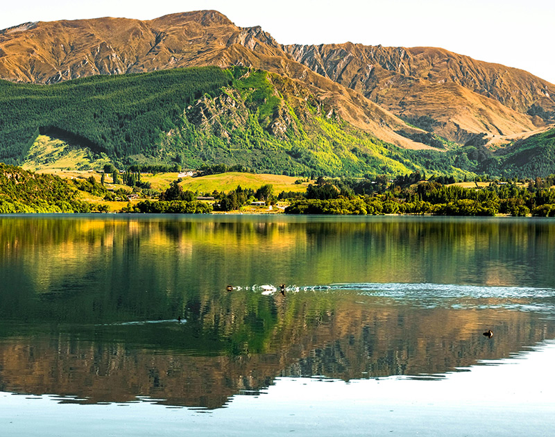 New Zealand