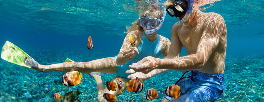 Premium Travel to Australia